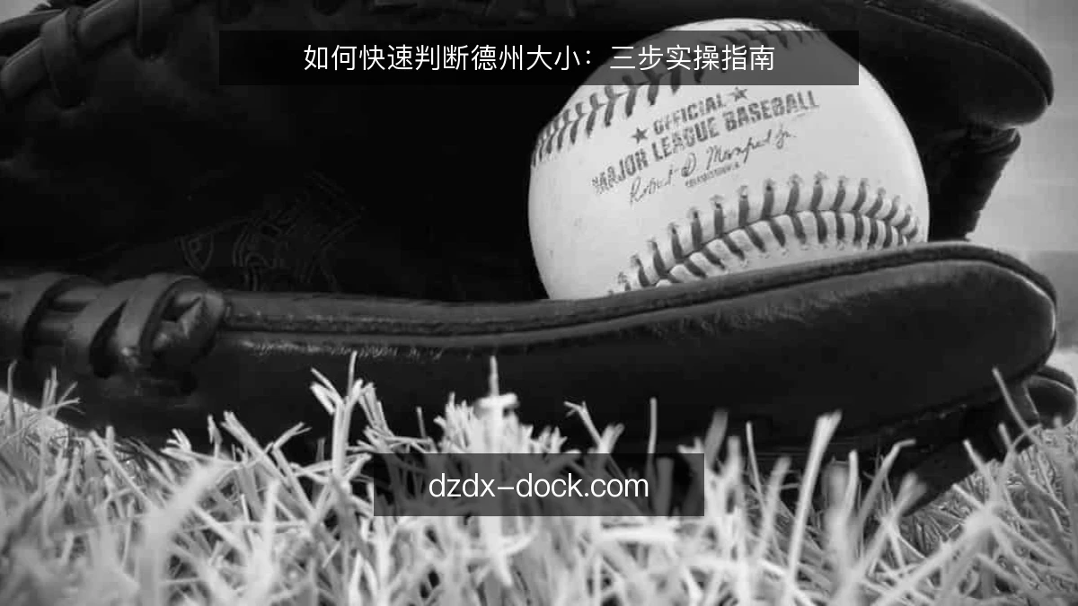 如何快速判断德州大小：三步实操指南