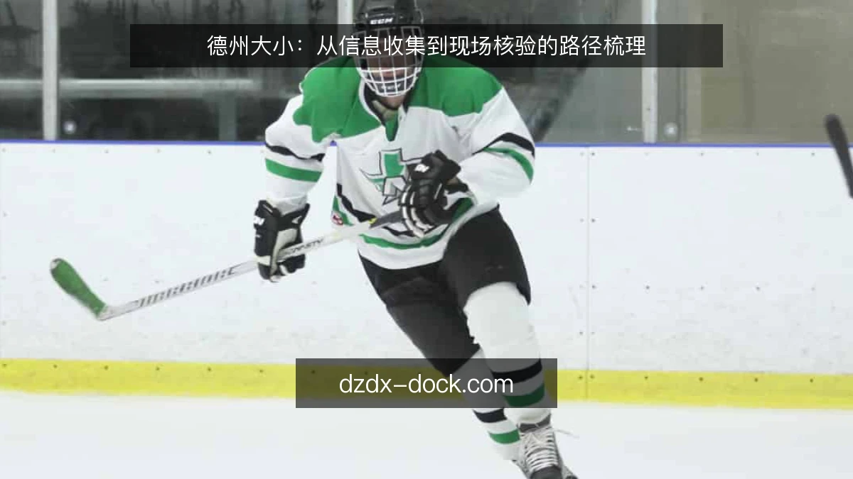 德州大小：从信息收集到现场核验的路径梳理
