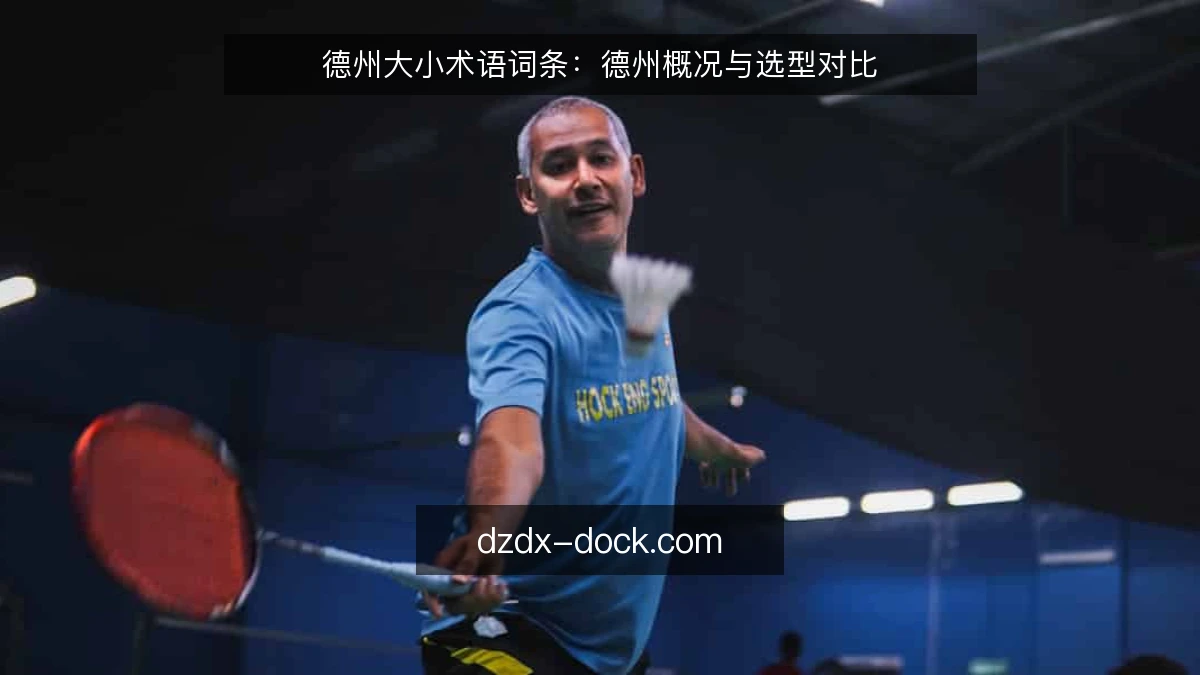 德州大小术语词条：德州概况与选型对比