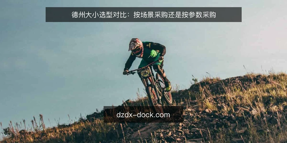 德州大小选型对比：按场景采购还是按参数采购 — 先定评测维度 配图